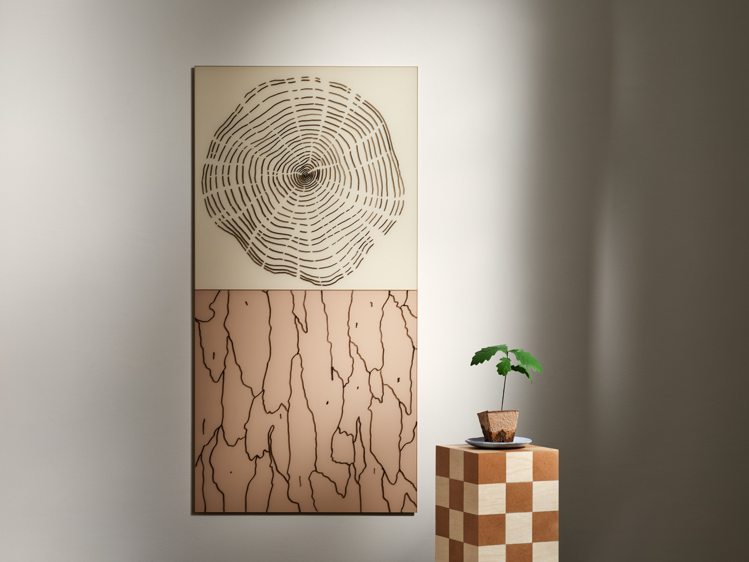 Lintex_Silk_23547.jpeg